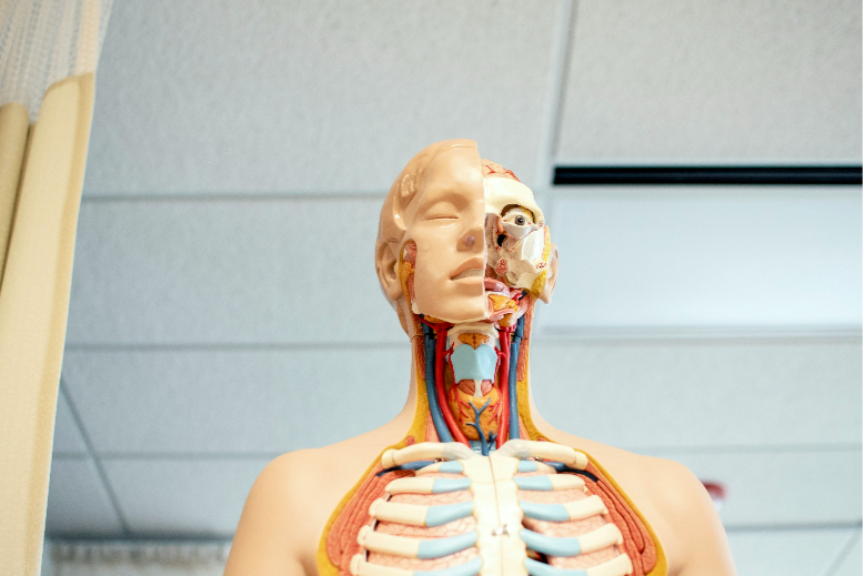 Is Integrating AI within Healthcare the Right Move for Africa?